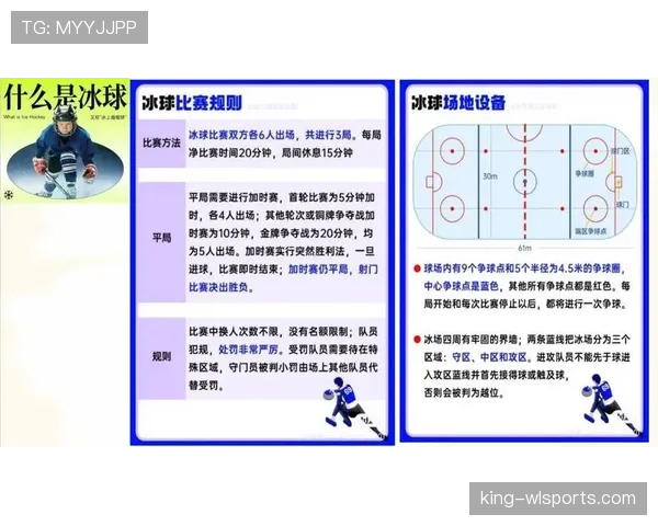 争球规则详解：裁判判罚标准与实施流程解析