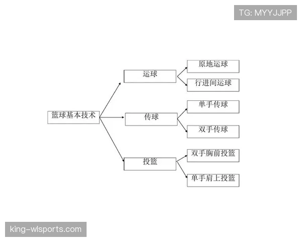 篮球规则深度解析：同时出界判定的具体依据