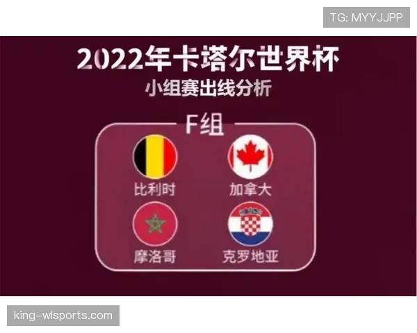 加拿大世界杯小组赛总结：4分成绩进入淘汰赛